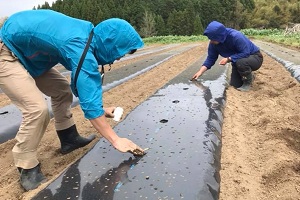 時間をかけてじっくりと育てる